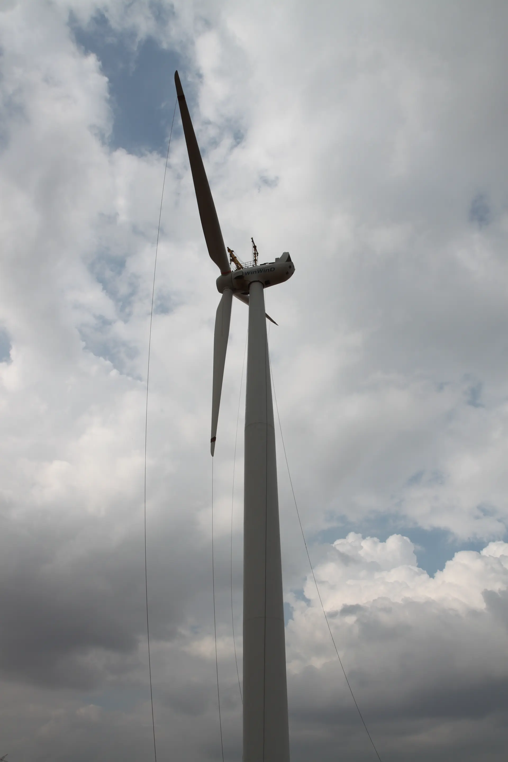 Wind Fan